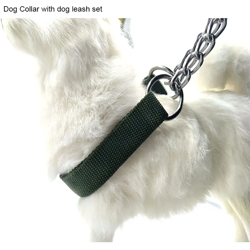 dog collar