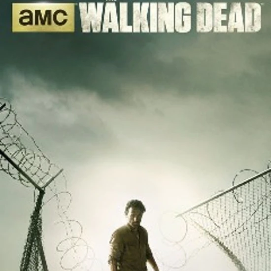 Walking Dead - Key Art Season 4 Poster Print by (24 x 36)