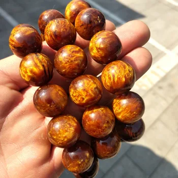 

Golden willow coral bulb specimen hand string healing
