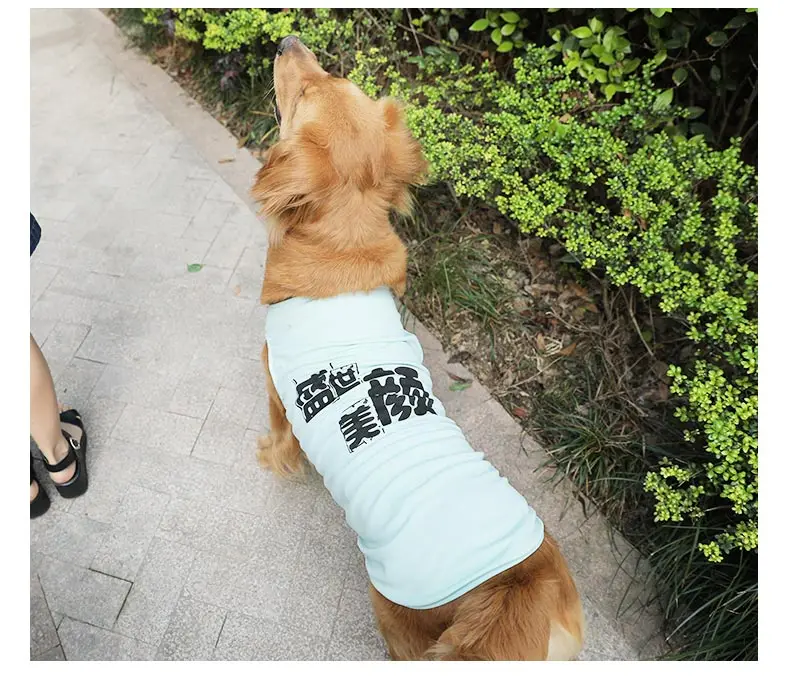 Hoopet Summer Big Dog Clothes T-shirts Mesh Cloth Breathable Dog Vest Golden Retriever Cloth for Medium Large Dogs 3XL-8XL (2)