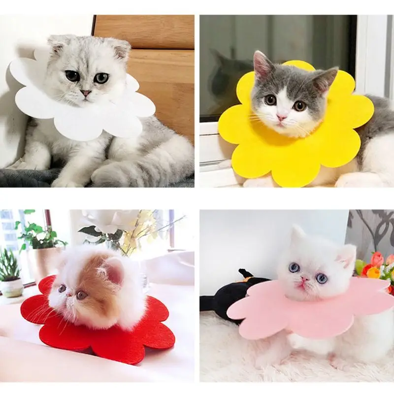 

5Pcs Pet Elizabethan Collar Cat Recovery Collar Wound Healing Protective Cone Photo Prop for Puppy Cat Kitten