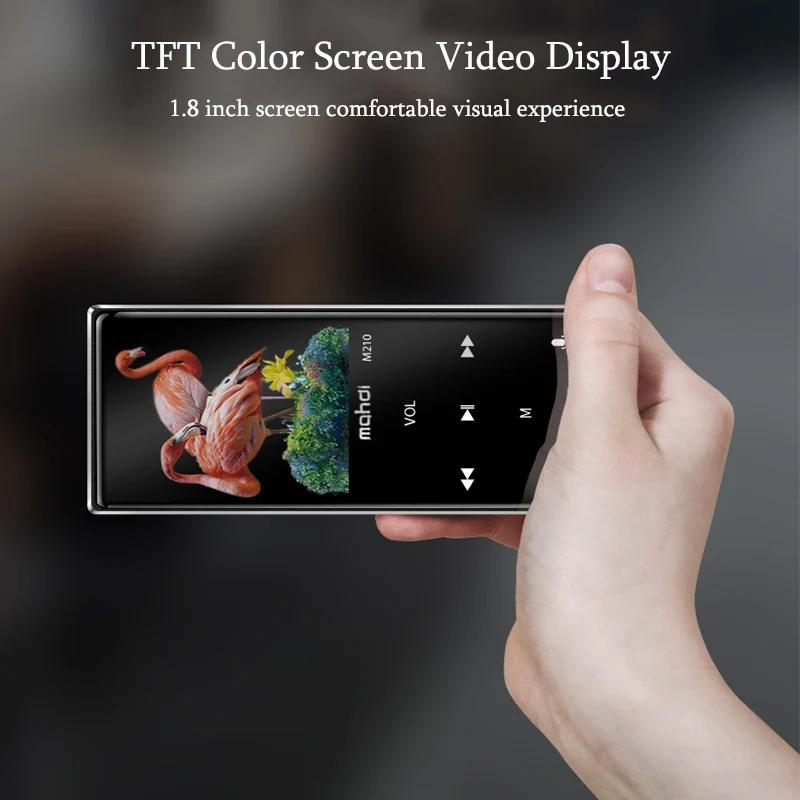 Mahdi M210 16GB luetooth MP3 Player Pedometer Sports CNC Metal Lossless HiFi Fever Music Player Portable Player FM Radio