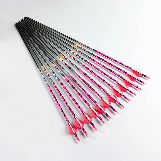  US $56.13 12pcs Archery Carbon Arrows Shaft Spine 2inch Plastic Vanes 75gr Tips Compound 