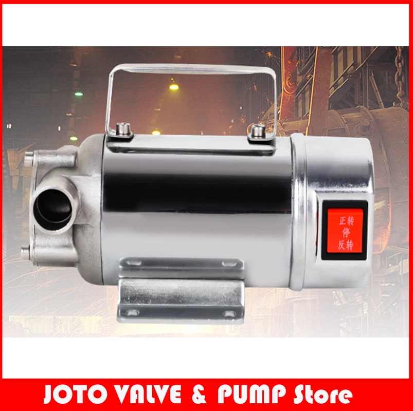 Stainless Steel Portable Self Suction Fuel Oil Pump in Pumps from Home