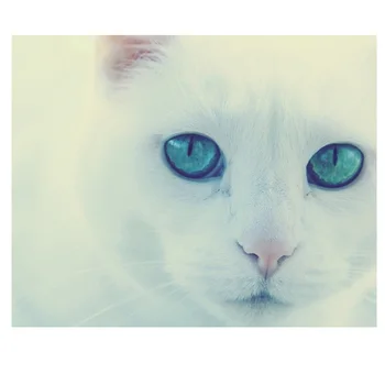 

DIY diamond painting cross stitch Needlework diamond white cat embroidery full square Crystal resin diamond mosaic christmas 928