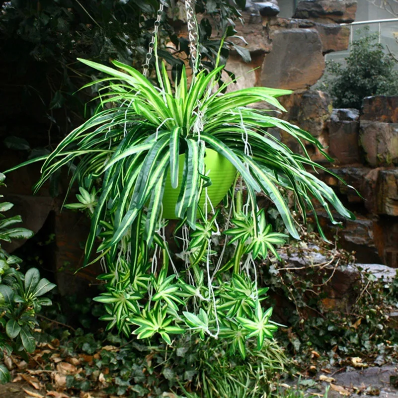 

Artificial Flower Bracketplant Chlorophytum Orchids Plastic Rattan Wall Flower Silk Flower Artificial Plant Home Decor