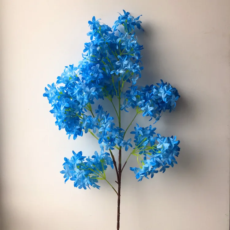6_