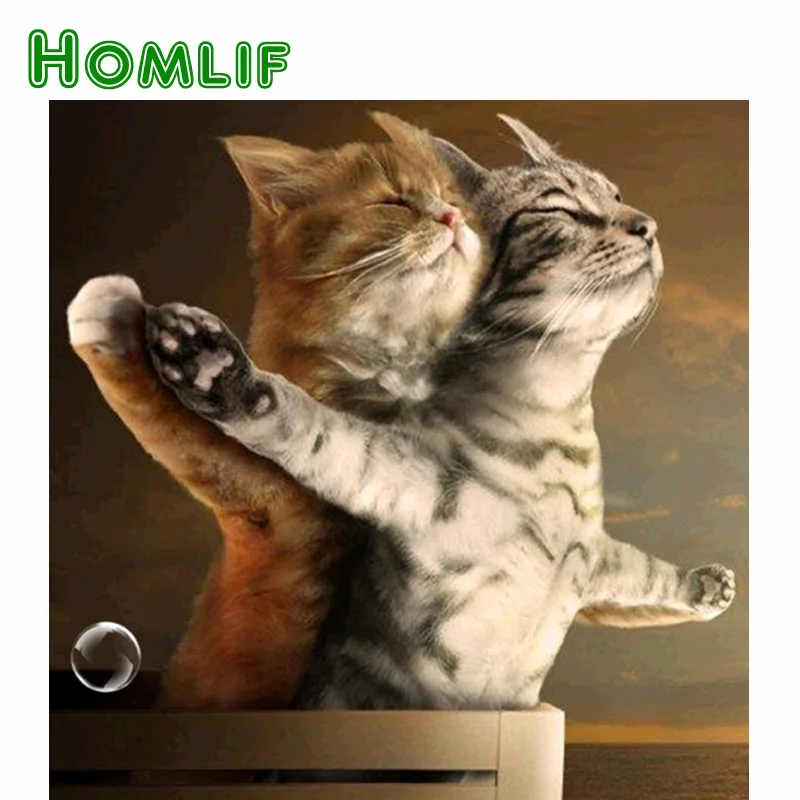 HOMLIF DIY 5D алмазов картина кота любителей вышивки крестом мозаика алмазная вышивка