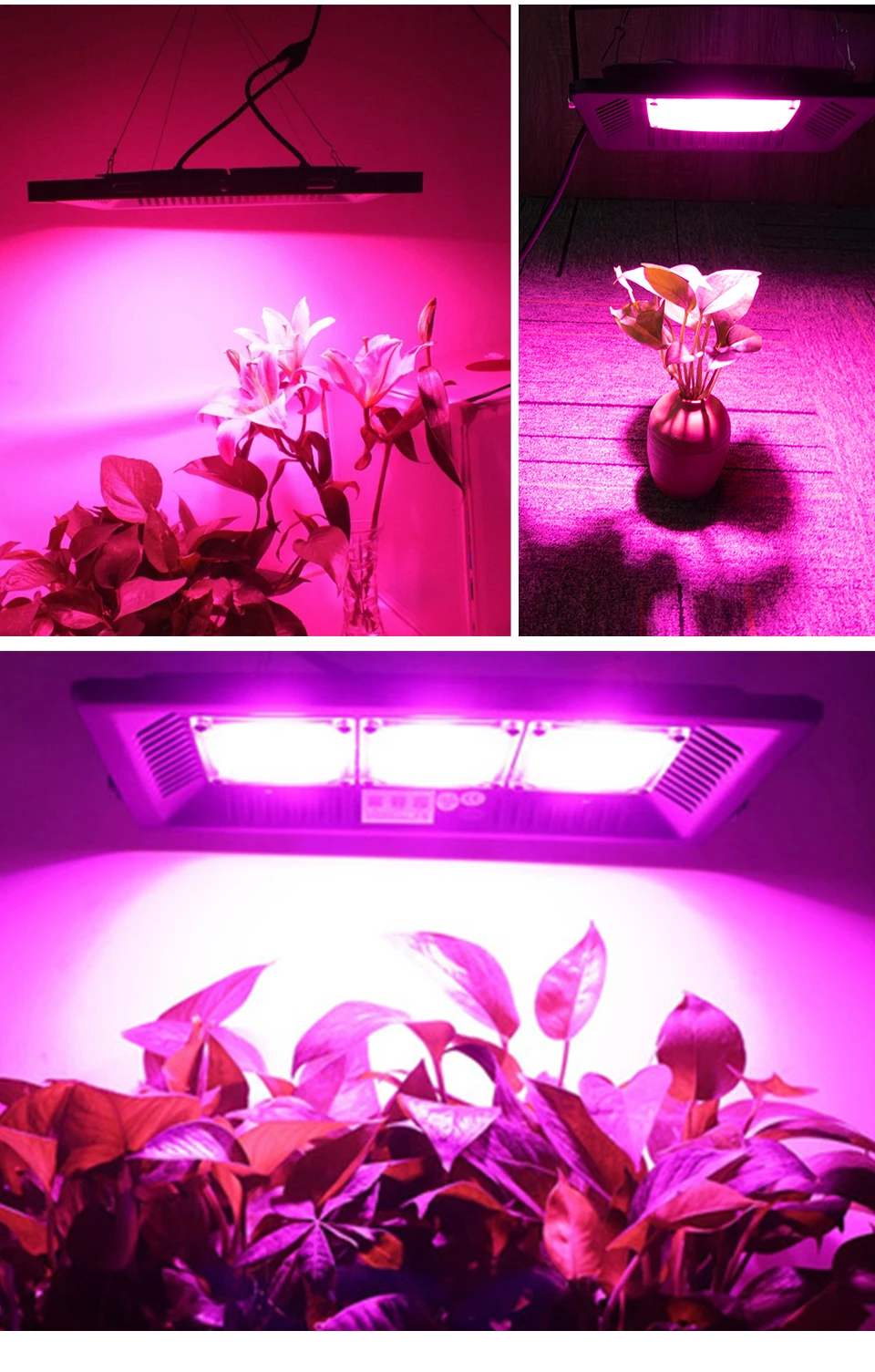 Full Spectrum LED Grow Light 30W 50W 100W 150W Floodlight Spotlight IP65 COB LED Diode Phyto Grow Lamp For Greenhouse Tent Plant