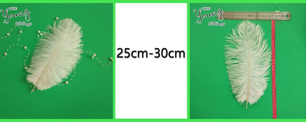 25-30cm-2