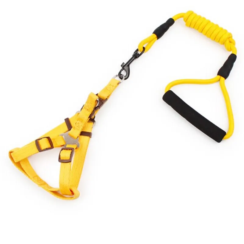 Colorful Dacron Retractable Leashes Soft Basic Halter Harnesses for