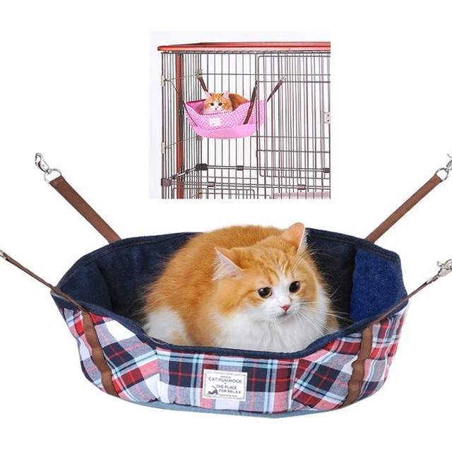 pet product cat kitten