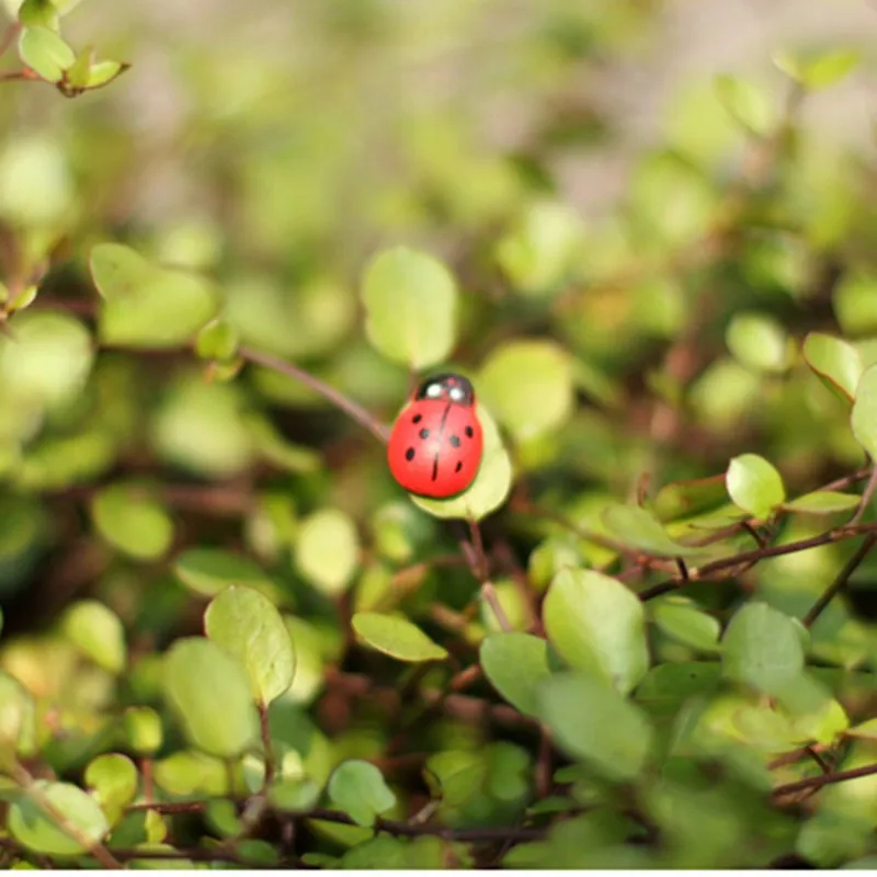 20170330_184501_010