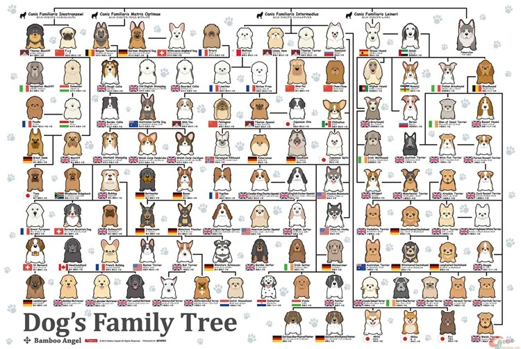 MOMEMO Dog's family Tree сборная игрушка Пазл 1000 шт. деревянная головоломка для взрослых декомпрессия пазл игрушка подарок для детей - Цвет: Dogs Family