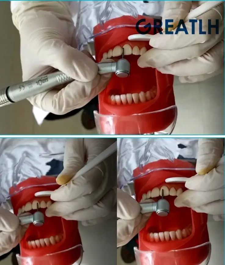 

New Dental phantom head model with style bench mount students experience training Model