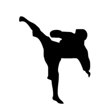 11*13.5 cm china kung fu luta esportes carro adesivo decalque a janela decoração do carro karate adesivos e decalques C2-0061