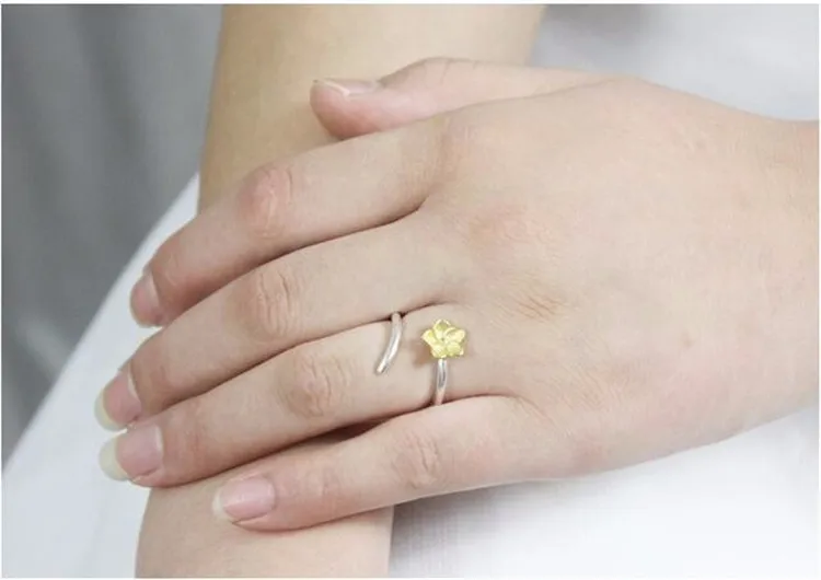 8802481491_1966409281