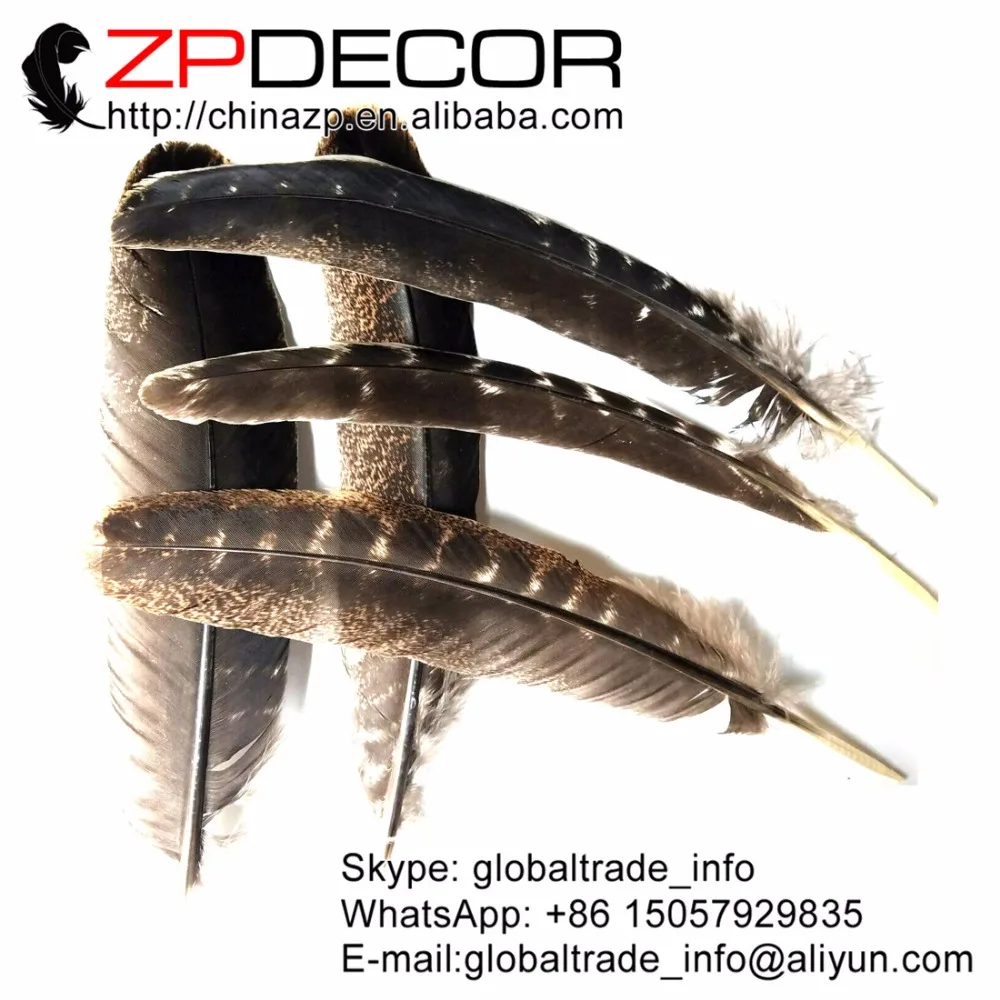 ZPDECOR 25 28cm(10 12inch) 50pieces/lot Wholesale Original Natural