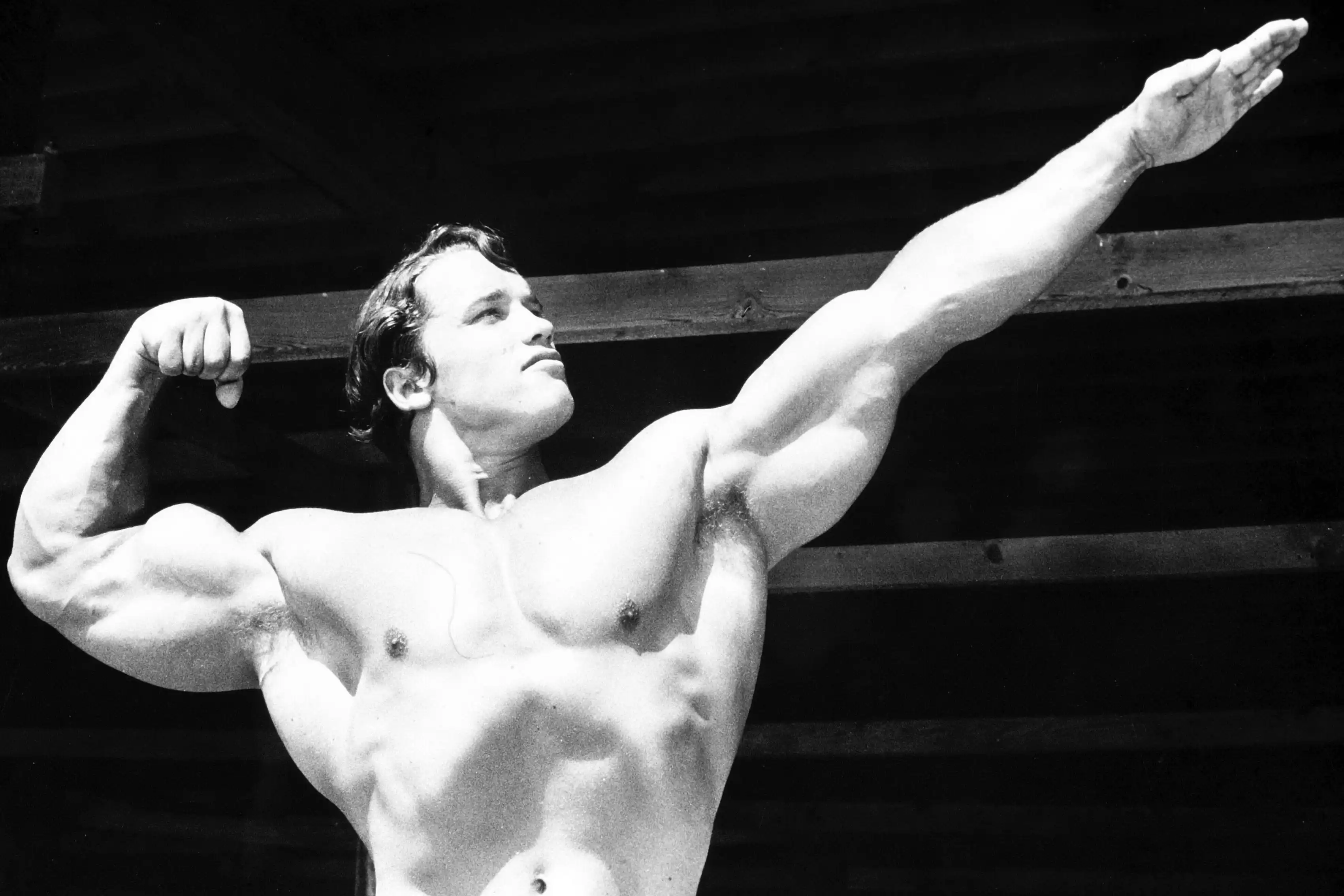 Home Decoration Arnold Schwarzenegger Bodybuilder Conquer Classical Sport Silk Fabric Poster Print Yr100 Poster Print Arnold Schwarzenegger Bodybuildingarnold Schwarzenegger Aliexpress