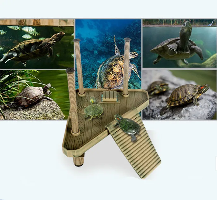 My turtle store coupon code