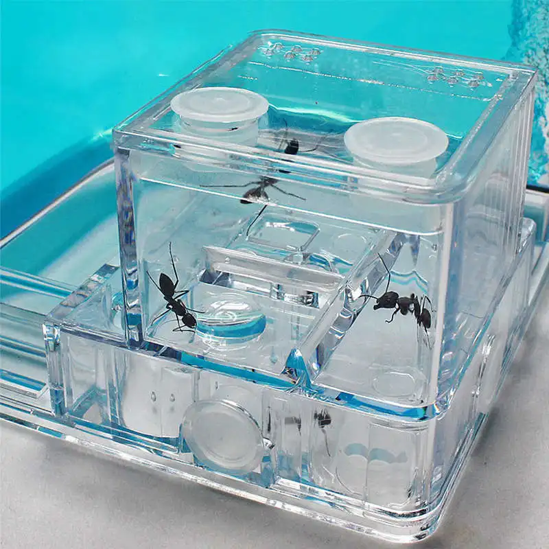 ПЭТ муравьи корпус гнездо насекомое клетка муравей пластиковый акриловый дисплей коробка животное муравьи дворец насекомых ферма питание влажная клетка