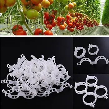 

Tomato Veggie Garden Plant Support Clips for Trellis Twine Greenhouse US Stock