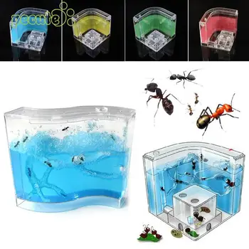 

Ant House Plastic Container Kids Insects Terrarium Small Pet Toy Educational