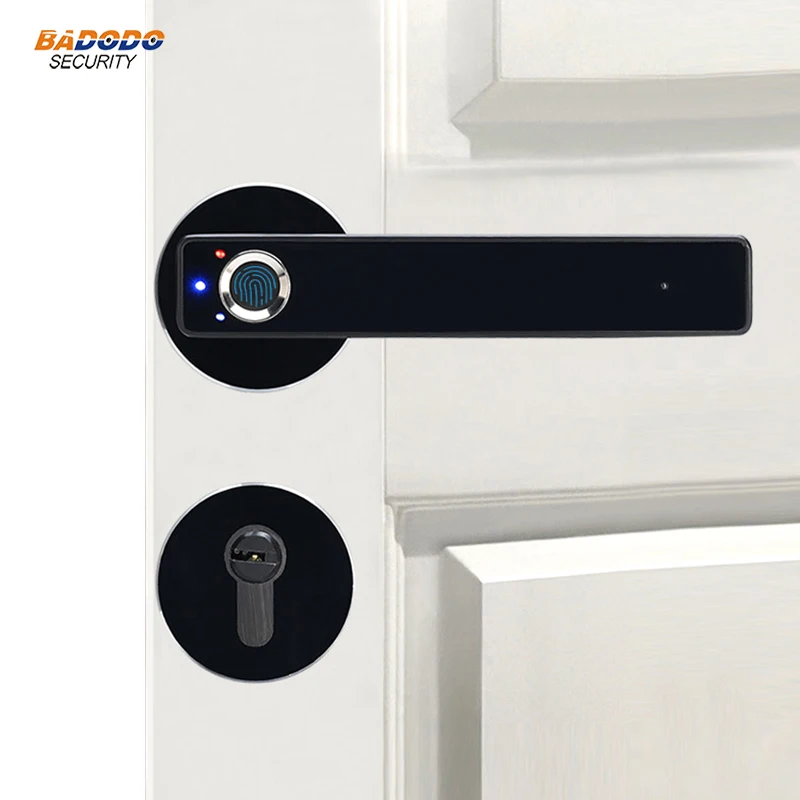 

Semiconductor Fingerprint Lock Electric biometric fingerprint Door Lock for indoor home use with mechanical key