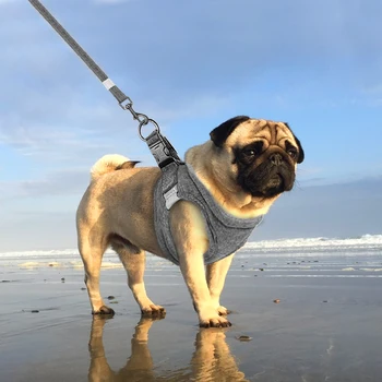 

Breathable Dog Harness Leash Set Adjustable Puppy Cat Vest Reflective Pet Chest Strap Leash Lead For French Bulldog Chihuahua