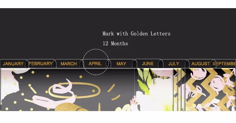 4 Dokibook Hello Dream Spring Series Divider for Notebook Diary  A5A6 Agenda Organizer Planner Transparent Index Paper 12pcset