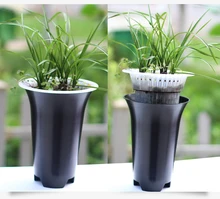Doppel kunststoff transparent atmungs sets töpfe Cymbidium goeringii Cymbidium blumentopf