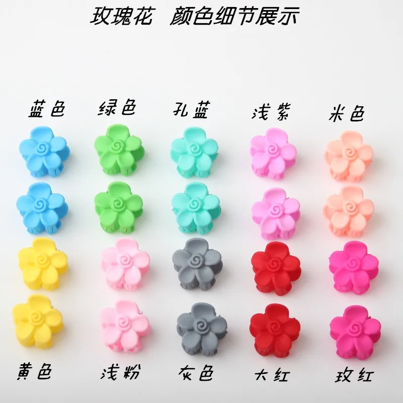 9019504268_2035005382