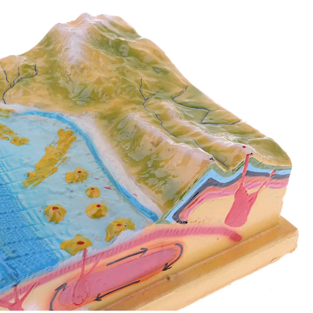 3D Tectonic модель для морской нижней горной земной поверхности школьный учебный