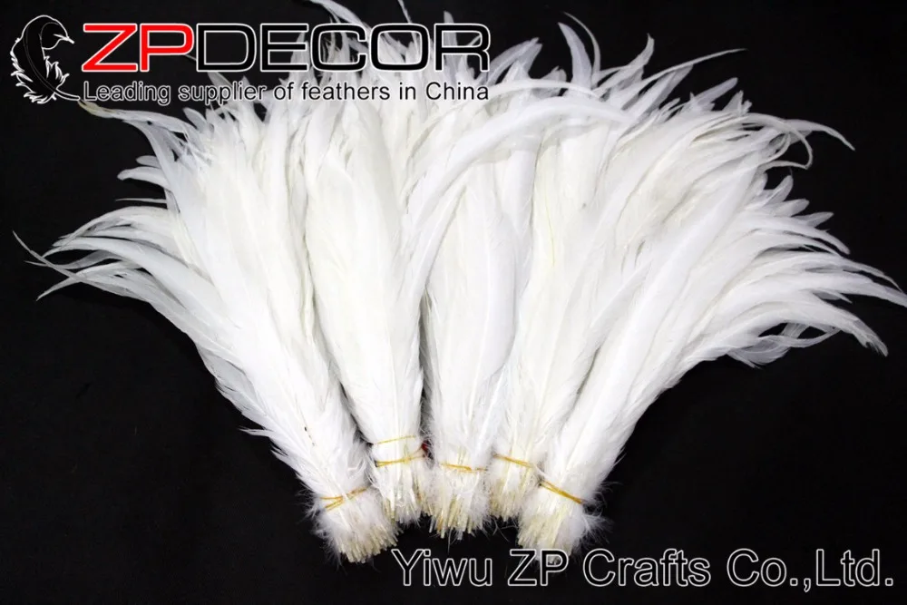 rooster tail feathers 35-40cm (12)