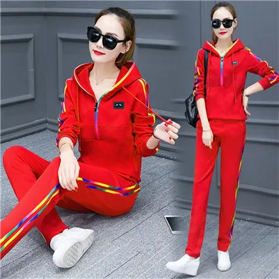 Hot Sale young Lady Tracksuit Women Sweatshirt+Pant Track suit 2 Piece Set Sporting Suit for women autumn suit sets - Цвет: as picture