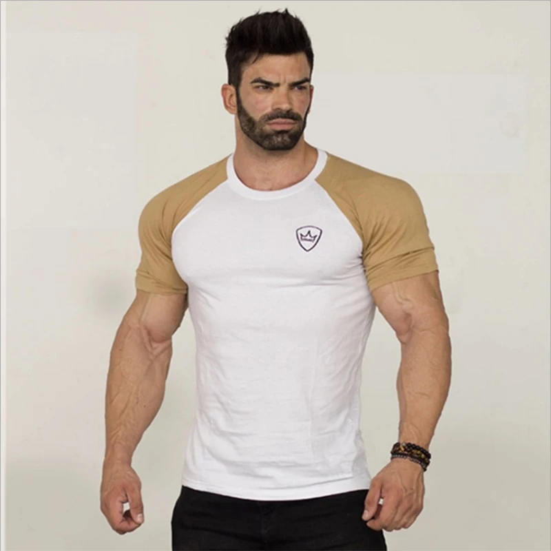 Mens Summer gyms Fitness T-shirt (1)B