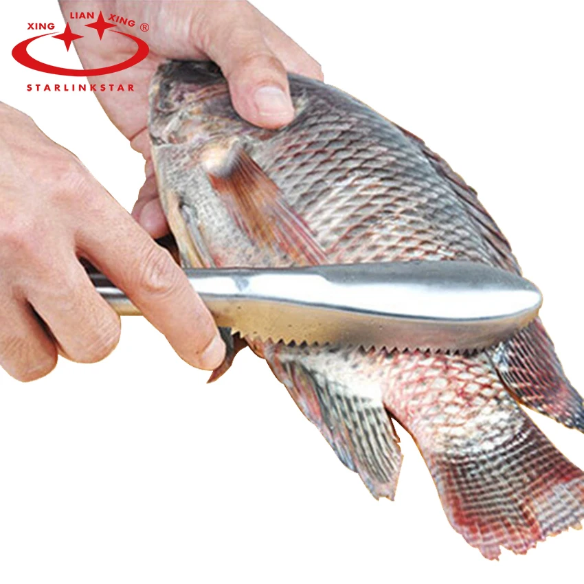 

Fish Cleaning Knife Skin Cleansing Brush Cooking Tools Avoid Fish Scales Flying Fish Scaler Fish Scraper Kitchen Accessories