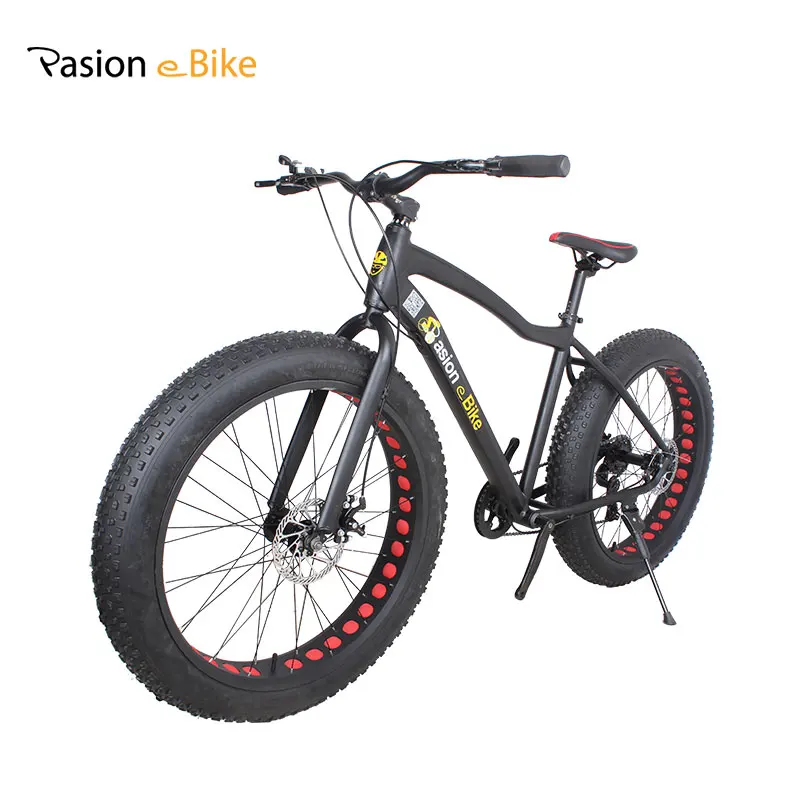 pasion e bike