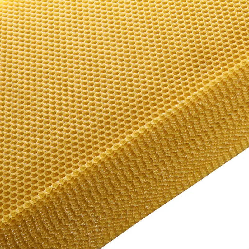 

High Quality 10 X Beekeeping Honeycomb 200*415 Mm A Must For Beekeepers Excellent Beekeeping Equipment