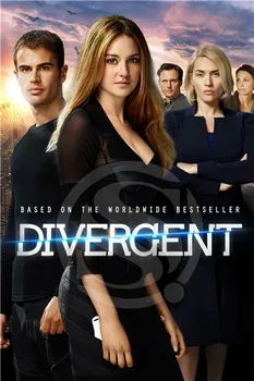 

DIVERGENT Poster Print Silk Fabric Print Poster Print Cloth Fabric Wall Poster Custom Satin Poster