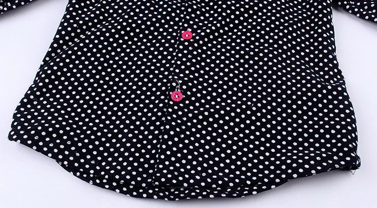 HC283 (7)