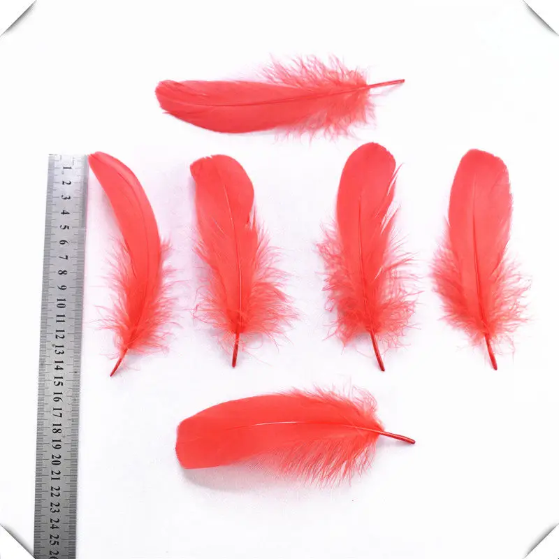 5 перьев. 5 перьев. пух и перья. утиное перо. перья декоративные.