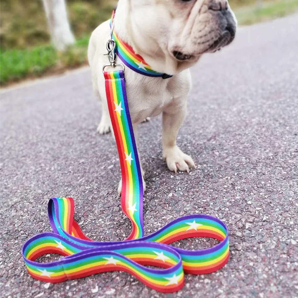 

Dog Collar leash Nylon Pet Dog Collar High Quality Multiple Series Colorful Fashion New Design Adjustable Dog Collar Pet Product