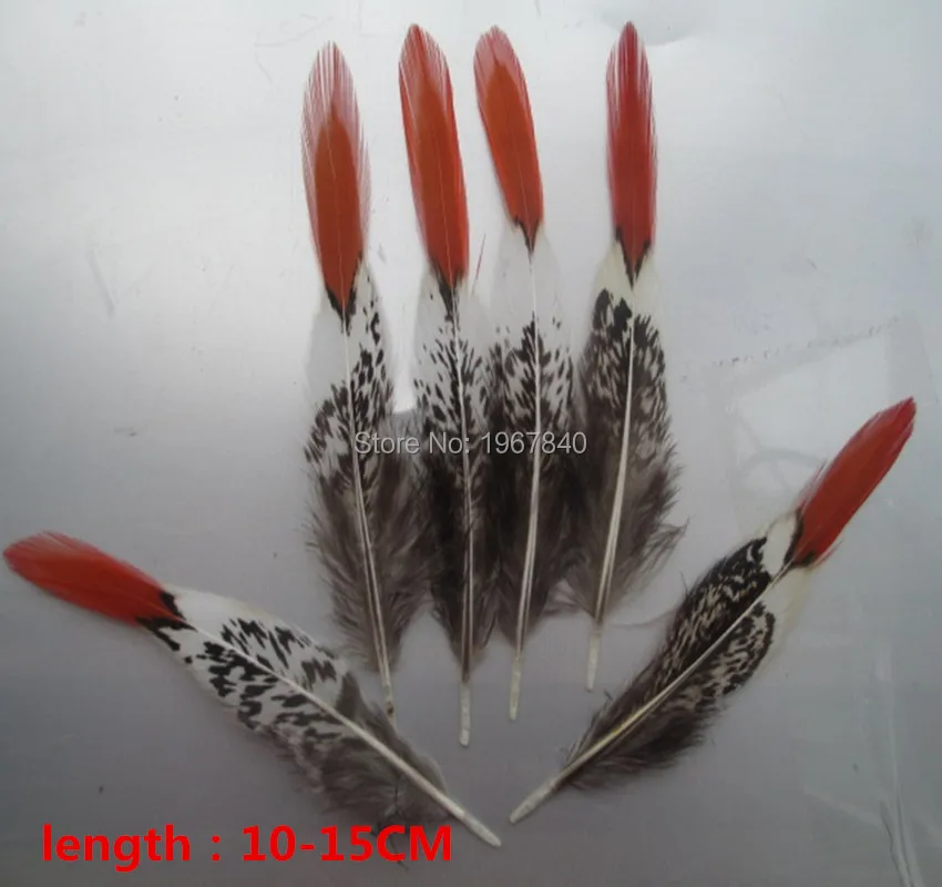 10-15cm4-6_88_