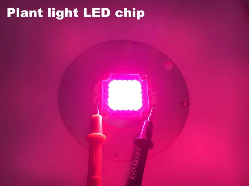 

led plant growth lamp module cob diode led bulb 620-660nm red 450-455nm blue custom products