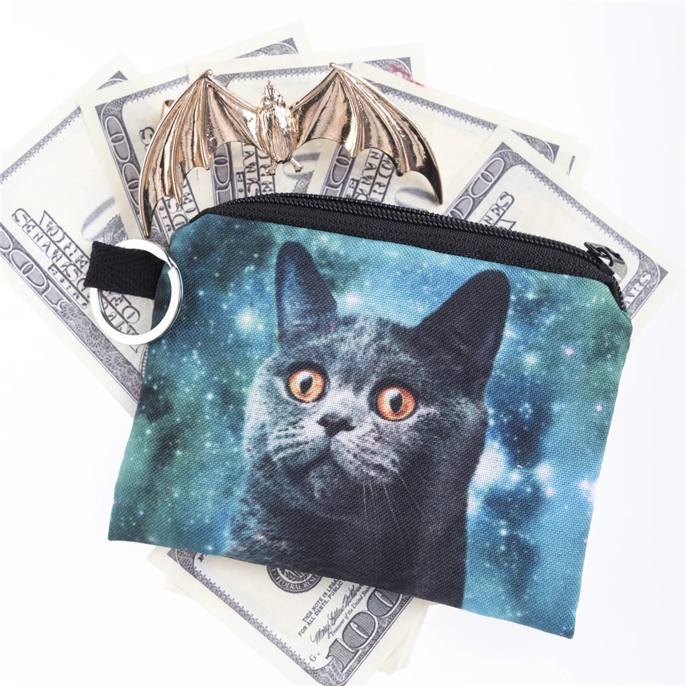 40098 blue cat (2)