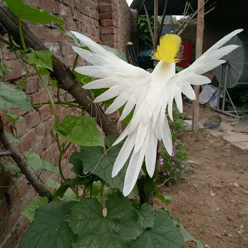 2 - 