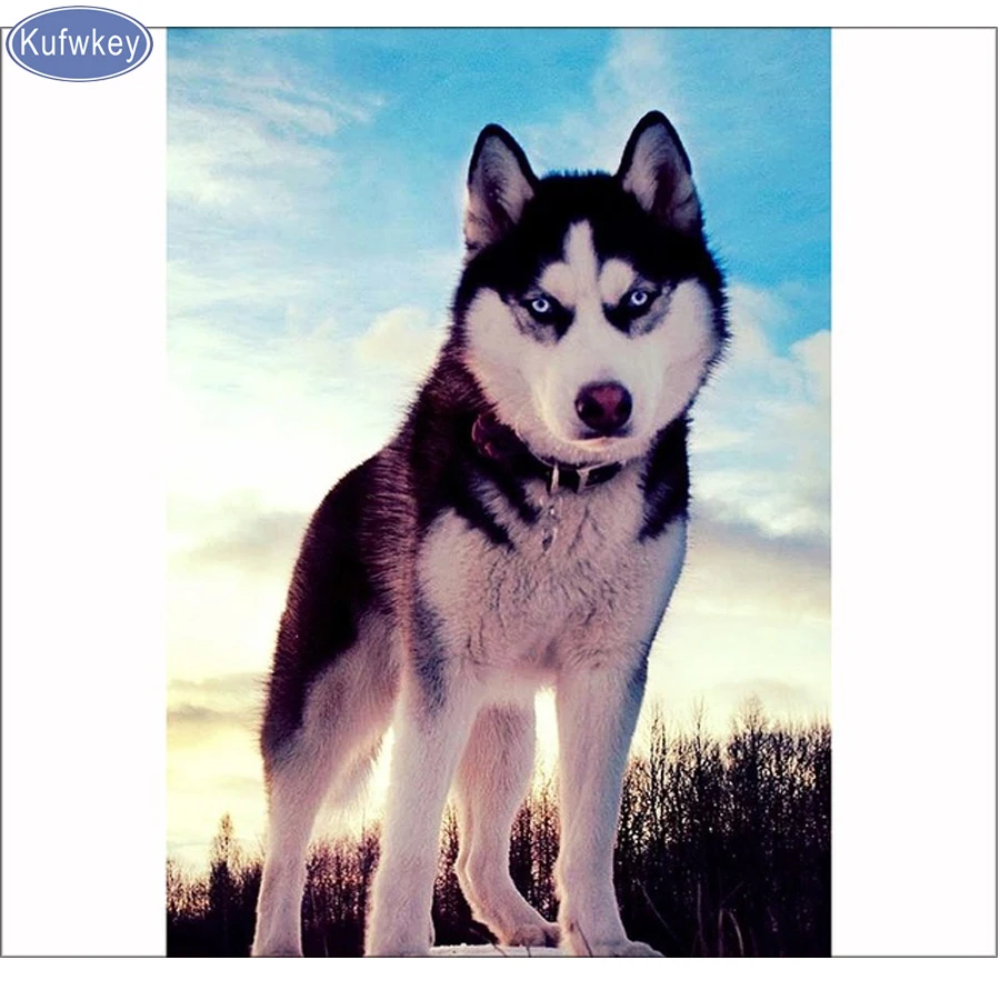 

Husky diy Diamond Painting Dog Full square Diamond Embroidery sale,Paint with Diamonds 5D Needlework Mosaic stickers Drill Resin