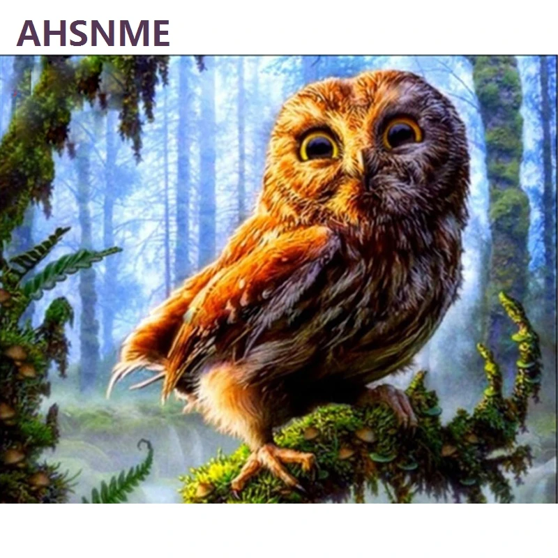 

AHSNME 40x50cm owl Diy Oil Painting By Numbers Kits Wall Art Picture Home Decor Children's drawing learning kit gift 967