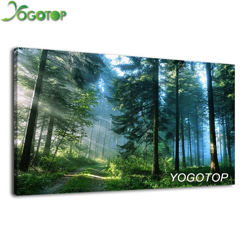 

YOGOTOP Large DIY square/round 5D Diamond painting 5D Embroidery decor Green Trees Roads Sunrise Forest Landscape natural YY686